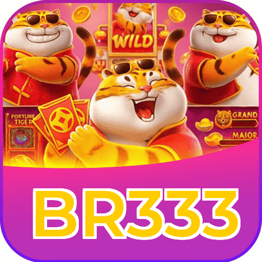 BR333 logo